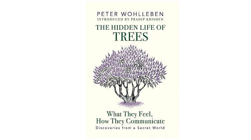 Trees Have Lives Beyond What We Think We Know